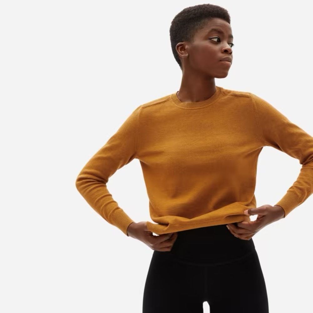 Everlane Organic Cotton Crewneck Sweater